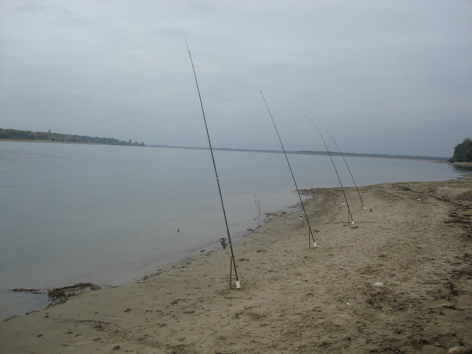 pescuit la Dunare - dsc04628.JPG